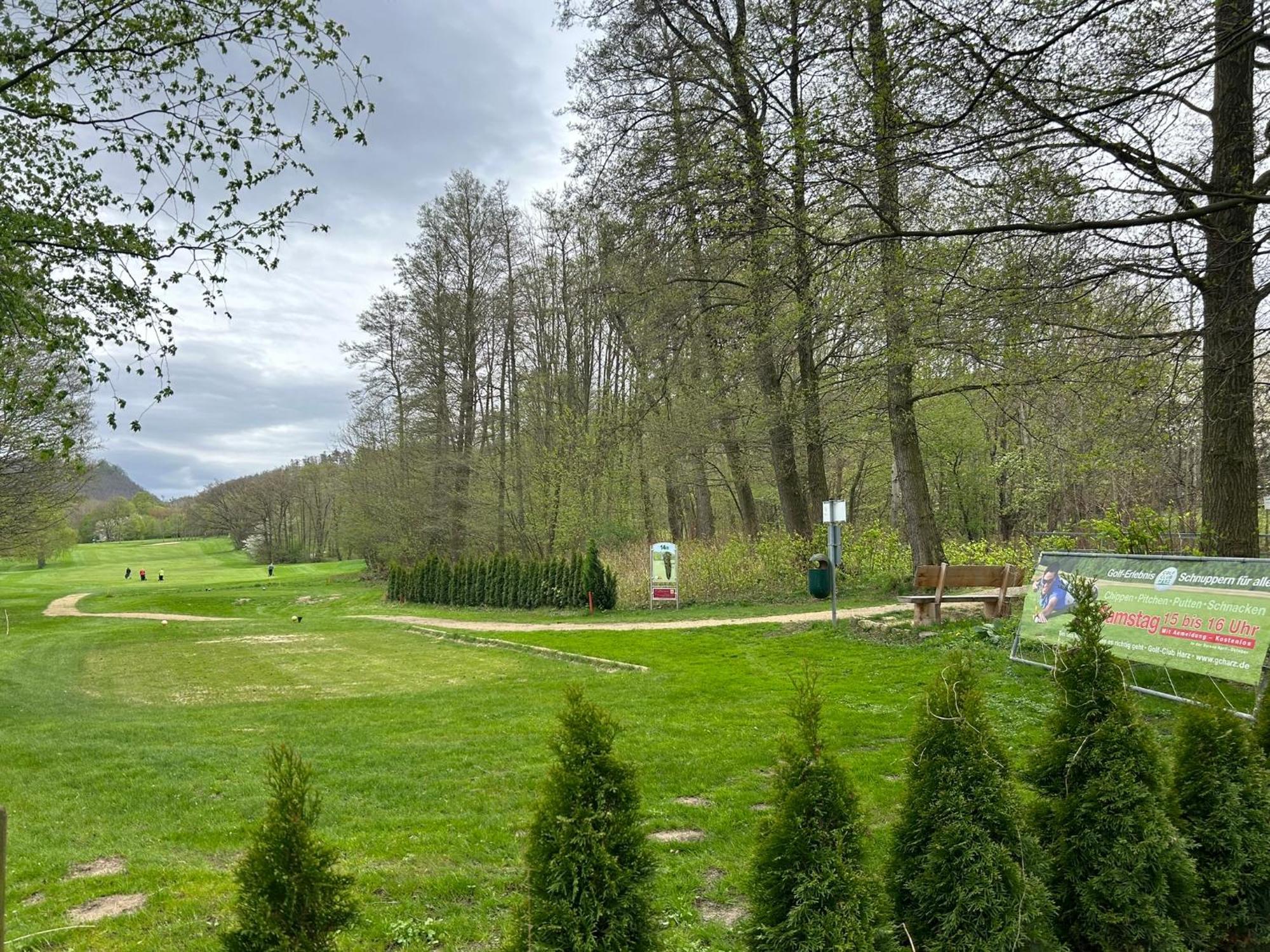 Penthouse ,,Kleine Auszeit" Leilighet Bad Harzburg Eksteriør bilde